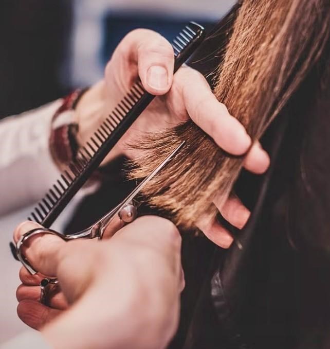 negozio in vendita a Pontedera