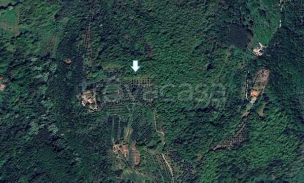 locale di sgombero in vendita a Pontedera