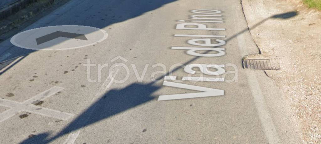 terreno agricolo in vendita a Pontedera in zona La Borra