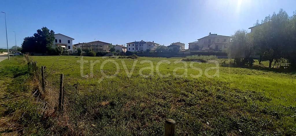 terreno agricolo in vendita a Pontedera in zona Il Romito