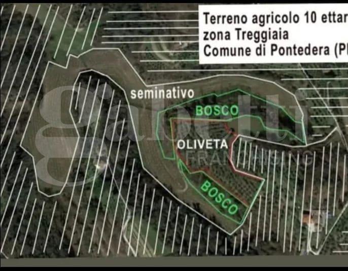 terreno agricolo in vendita a Pontedera in zona Treggiaia
