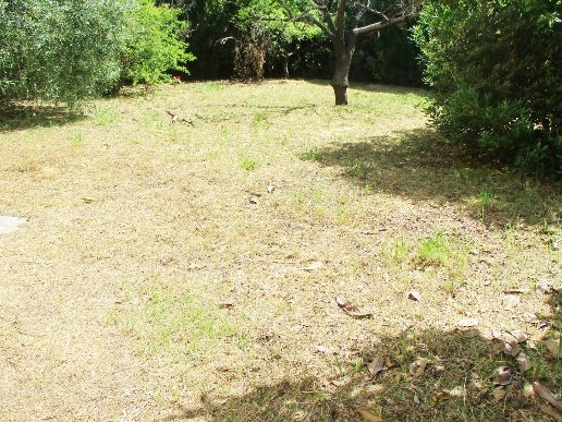 casa indipendente in vendita a Pontedera