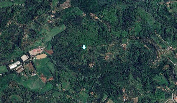 locale di sgombero in vendita a Pontedera