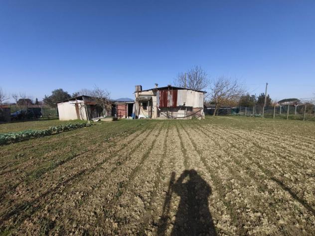 terreno agricolo in vendita a Pontedera