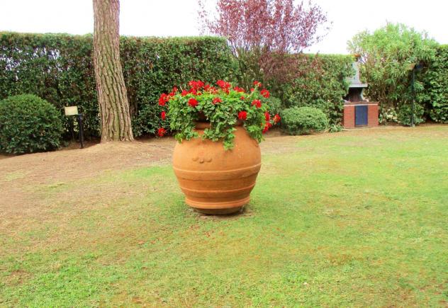 casa indipendente in vendita a Pontedera