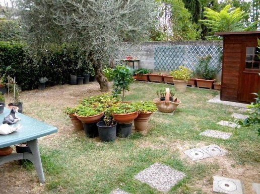 casa indipendente in vendita a Pontedera in zona Treggiaia
