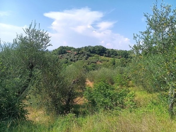terreno agricolo in vendita a Pontedera in zona Treggiaia