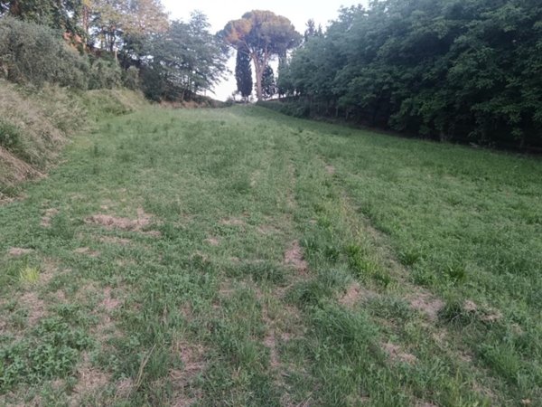 terreno agricolo in vendita a Pontedera in zona Treggiaia