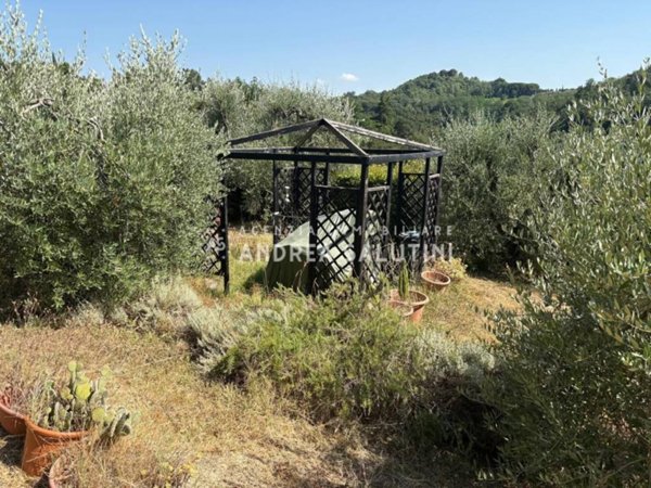 terreno agricolo in vendita a Pontedera in zona Montecastello