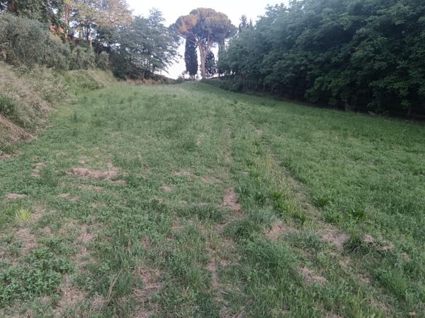 terreno agricolo in vendita a Pontedera in zona Treggiaia