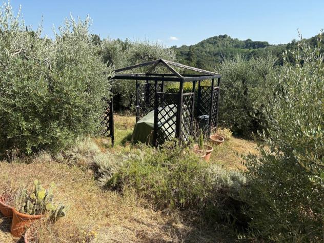 terreno agricolo in vendita a Pontedera in zona Montecastello
