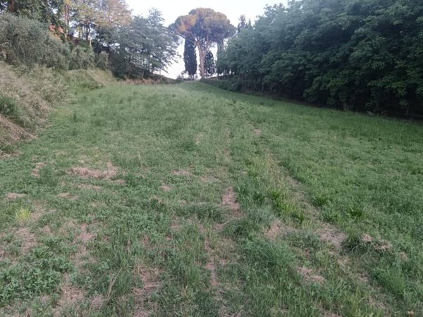 terreno agricolo in vendita a Pontedera in zona Treggiaia
