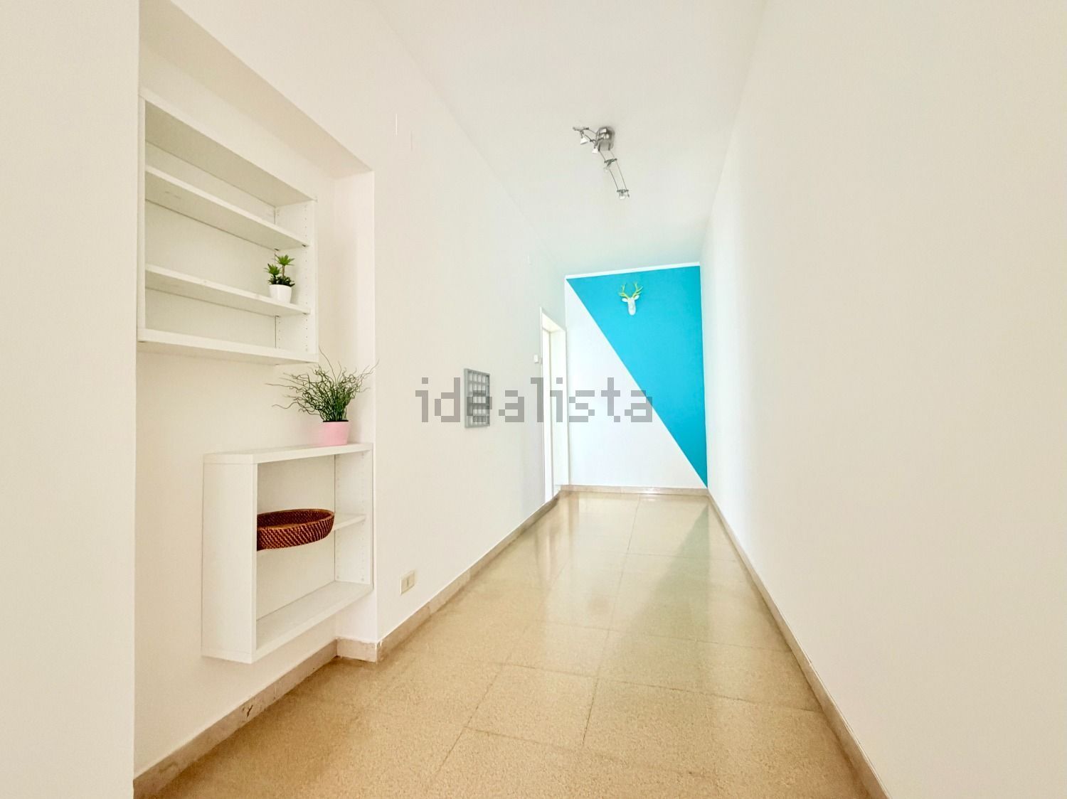 immagine annuncio 0 di 1