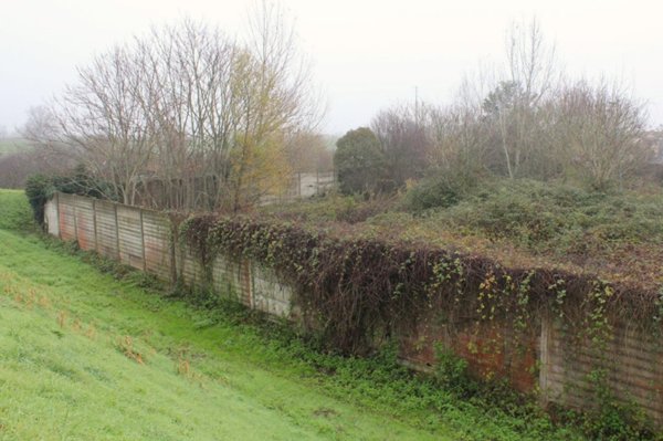 terreno agricolo in vendita a Pontedera