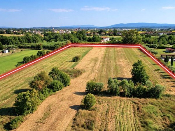 terreno agricolo in vendita a Pontedera in zona Santa Lucia
