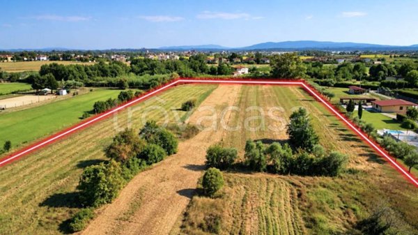 terreno agricolo in vendita a Pontedera in zona Santa Lucia