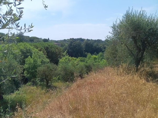 terreno in vendita a Pontedera