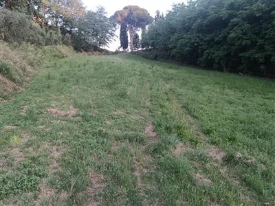 terreno in vendita a Pontedera in zona Treggiaia