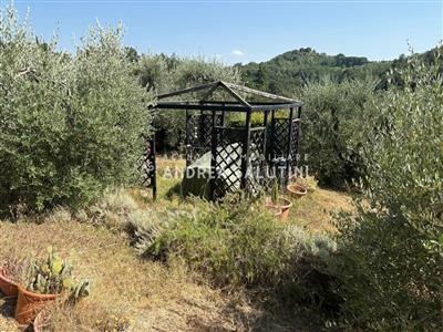 terreno in vendita a Pontedera in zona Montecastello