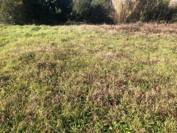 terreno in vendita a Pontedera