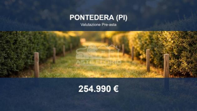 terreno agricolo in vendita a Pontedera