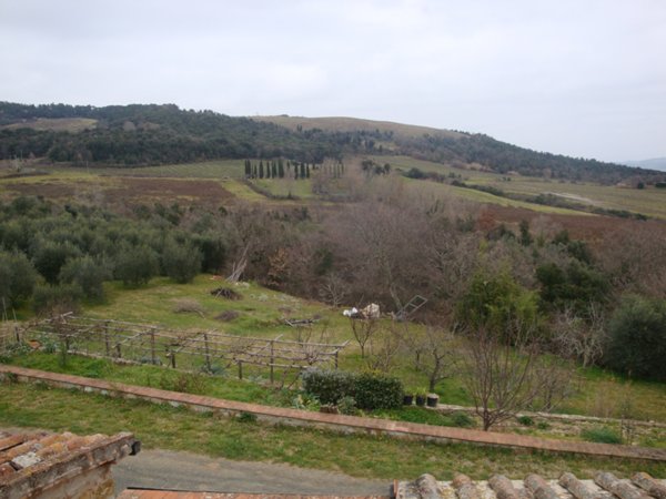 terreno agricolo in vendita a Riparbella