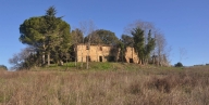 casa indipendente in vendita a Riparbella