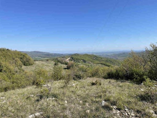 terreno agricolo in vendita a Riparbella