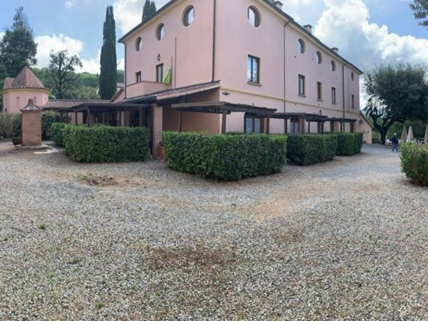 negozio in vendita a Riparbella