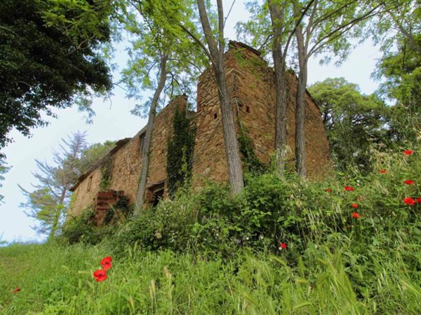 casa indipendente in vendita a Riparbella