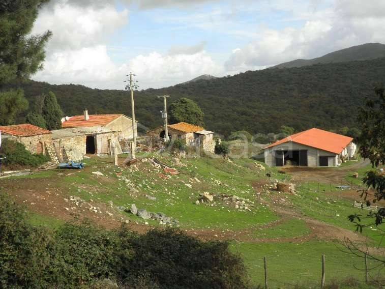 casa indipendente in vendita a Riparbella