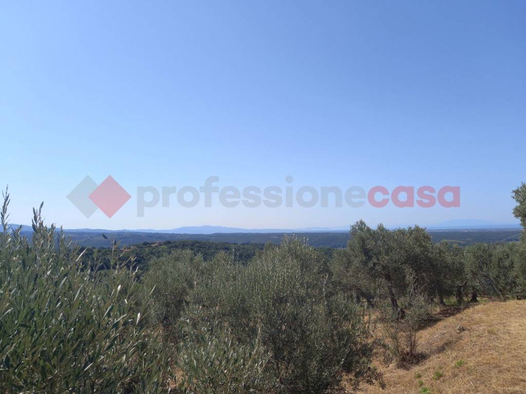 terreno agricolo in vendita a Riparbella