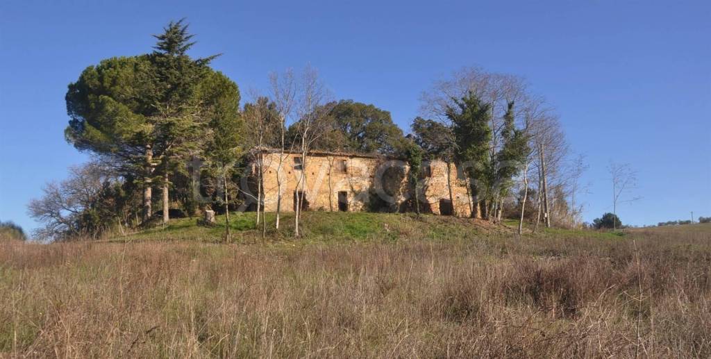 casa indipendente in vendita a Riparbella