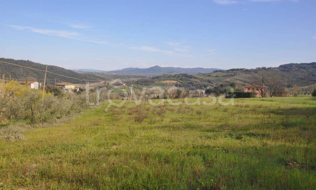 casa indipendente in vendita a Riparbella