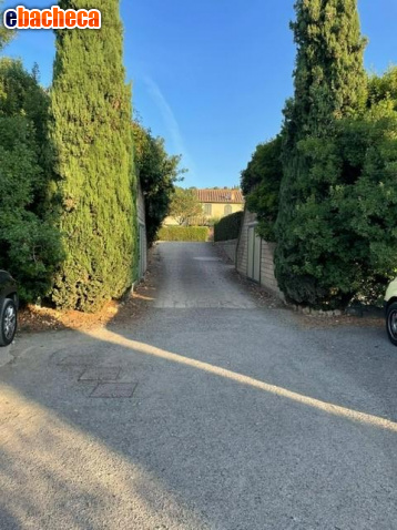 appartamento in vendita a Riparbella