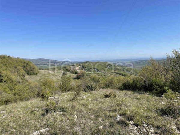 terreno agricolo in vendita a Riparbella