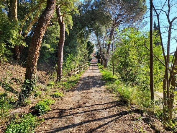 appartamento in vendita a Riparbella