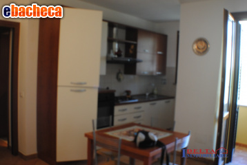 appartamento in vendita a Riparbella