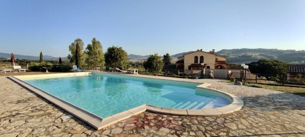 appartamento in vendita a Riparbella