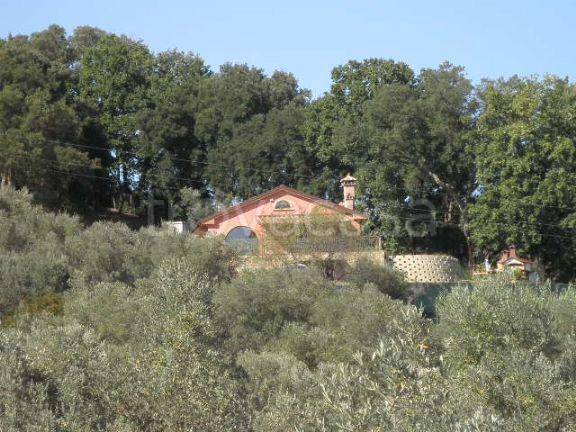 casa indipendente in vendita a Riparbella