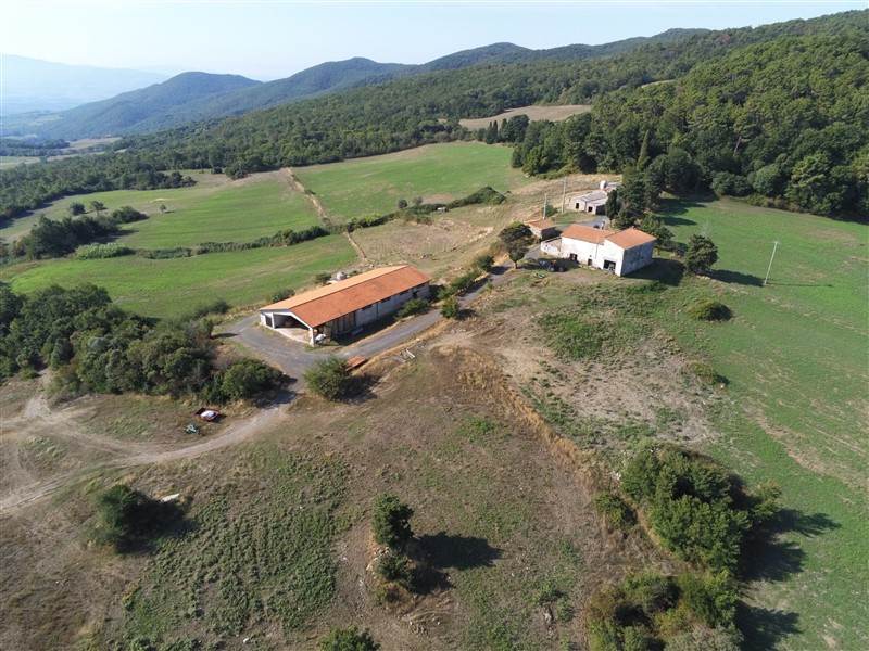 azienda agricola in vendita a Riparbella