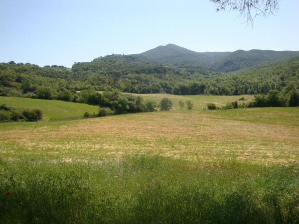 terreno edificabile in vendita a Riparbella