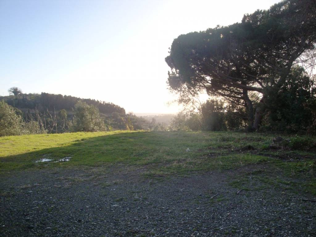 terreno agricolo in vendita a Riparbella