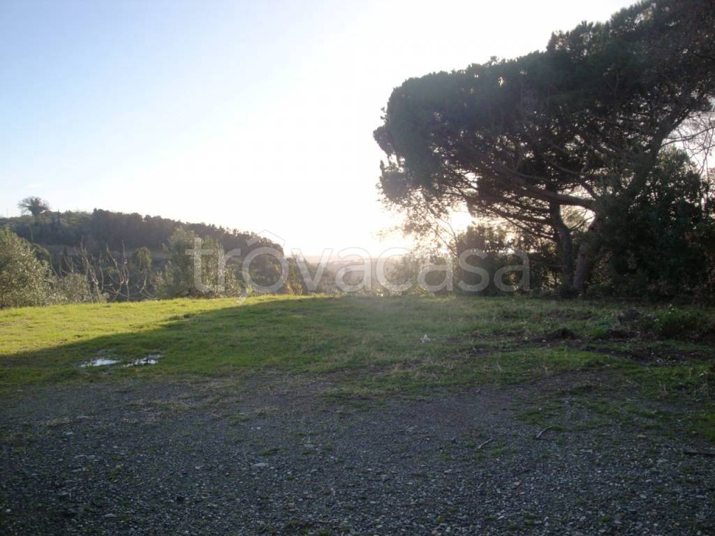 terreno agricolo in vendita a Riparbella