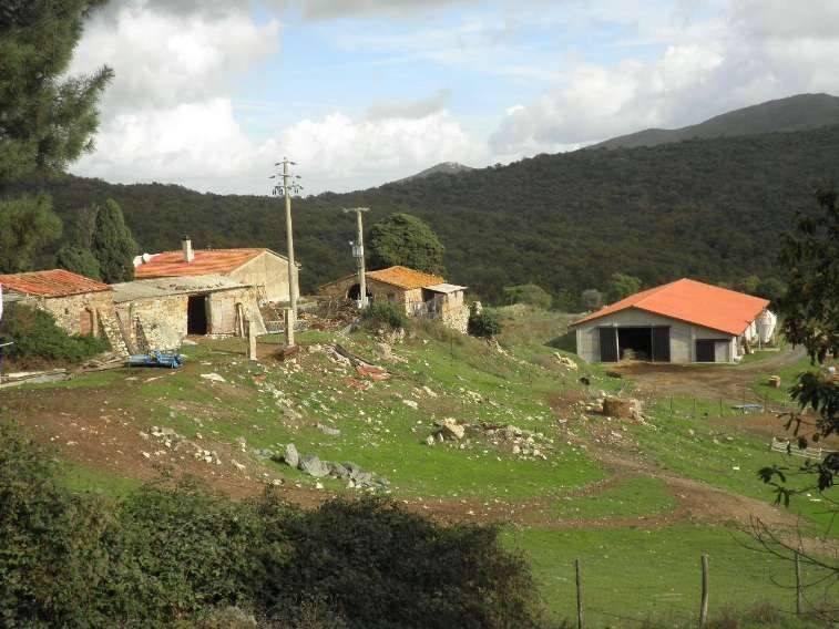 casa indipendente in vendita a Riparbella