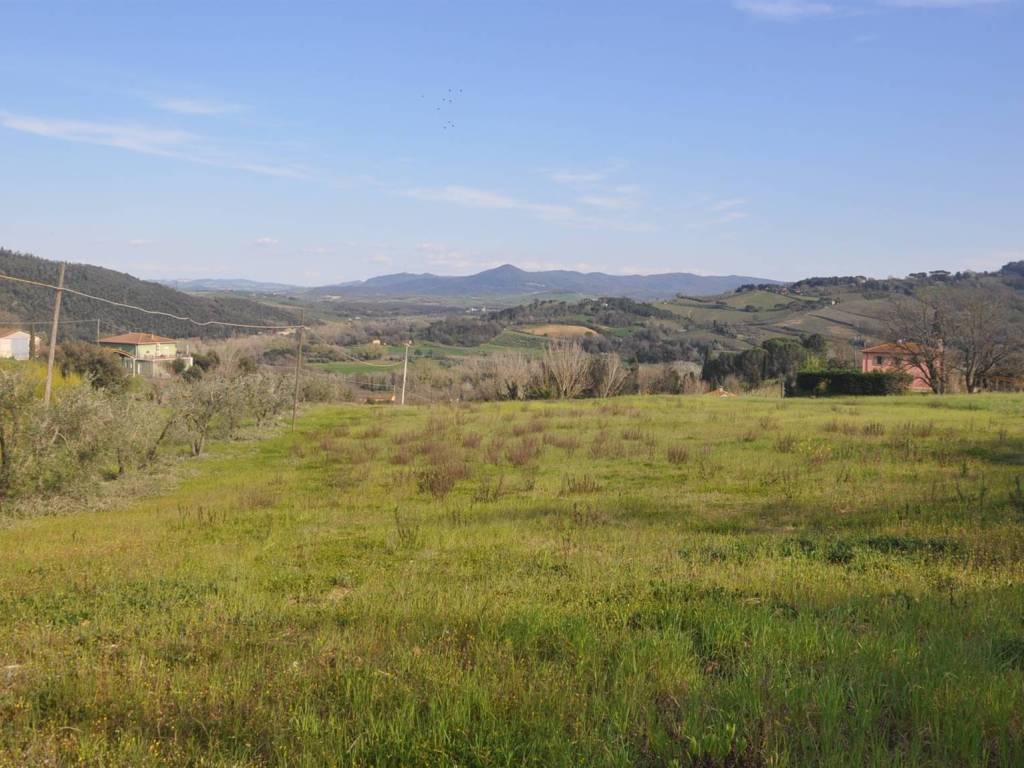 terreno agricolo in vendita a Riparbella