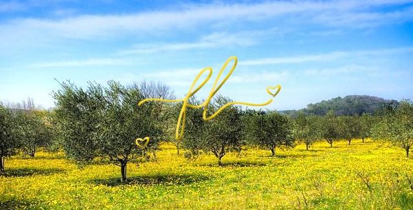 terreno agricolo in vendita a Riparbella
