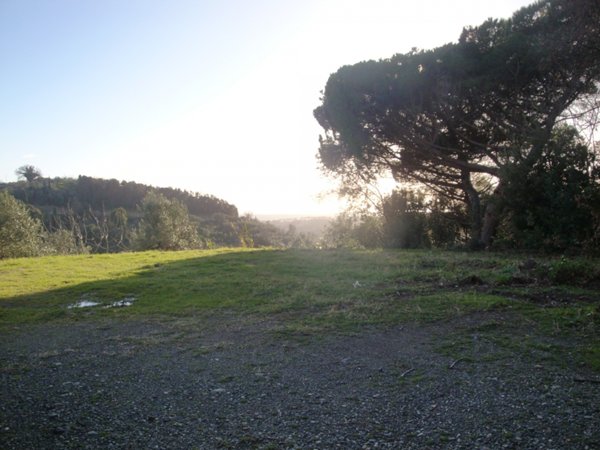 terreno edificabile in vendita a Riparbella