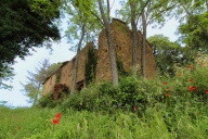 casa indipendente in vendita a Riparbella
