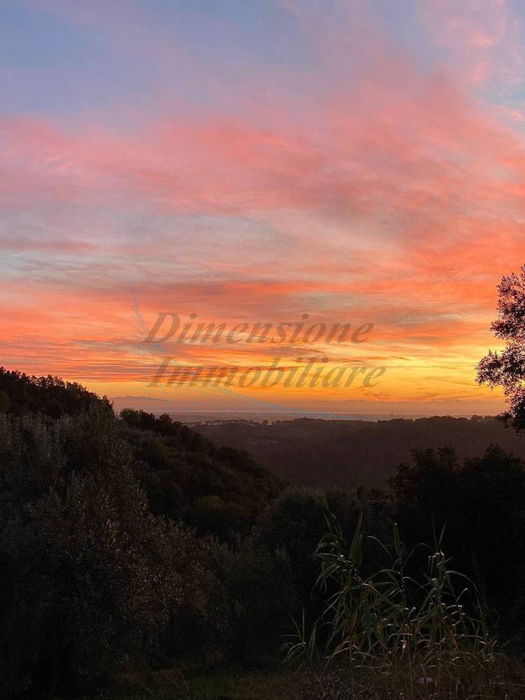 rudere in vendita a Riparbella